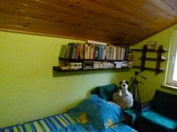 Фото номера Шале Фермерские дома Agroturystyka u Psotki г. Kużmina 15